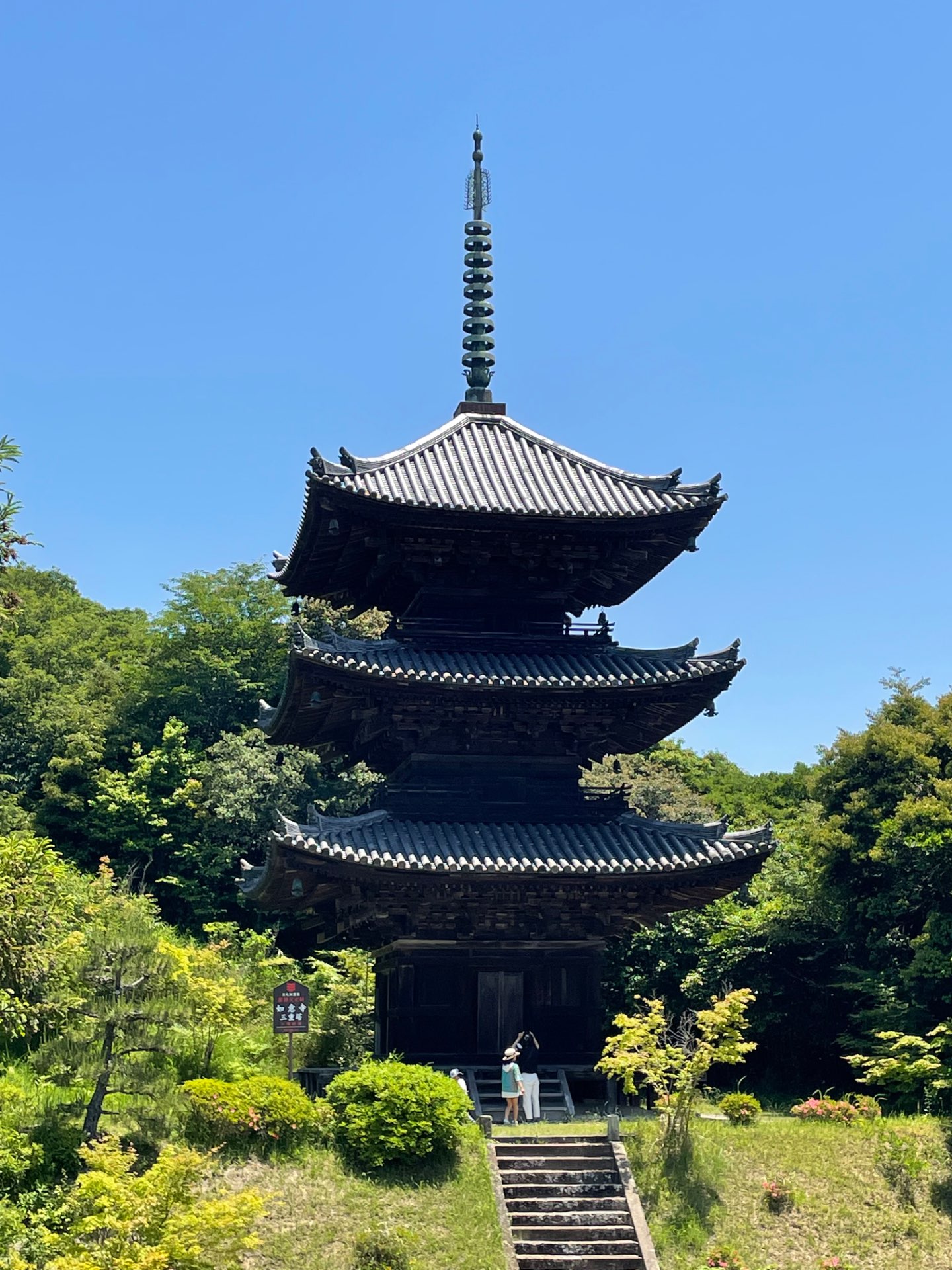 のぶさんのプロフィール画像