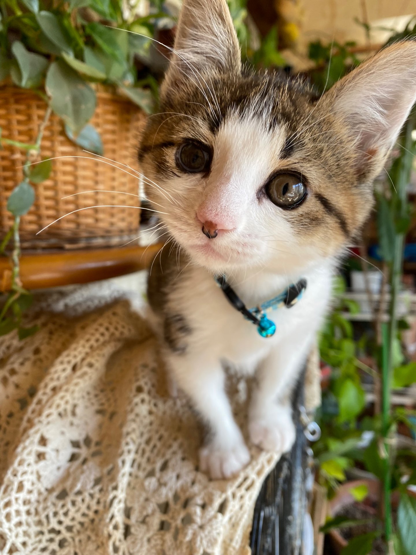 ユウナさんのプロフィール画像