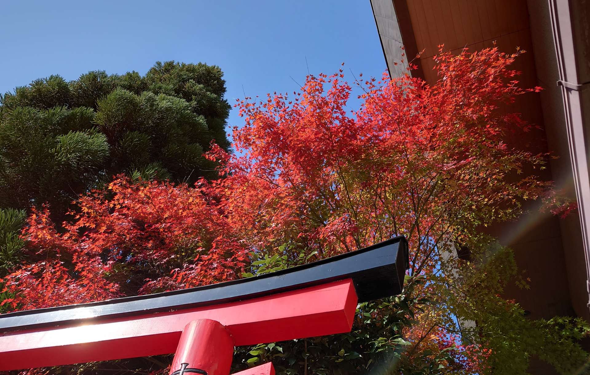 yaccoさんのプロフィール画像