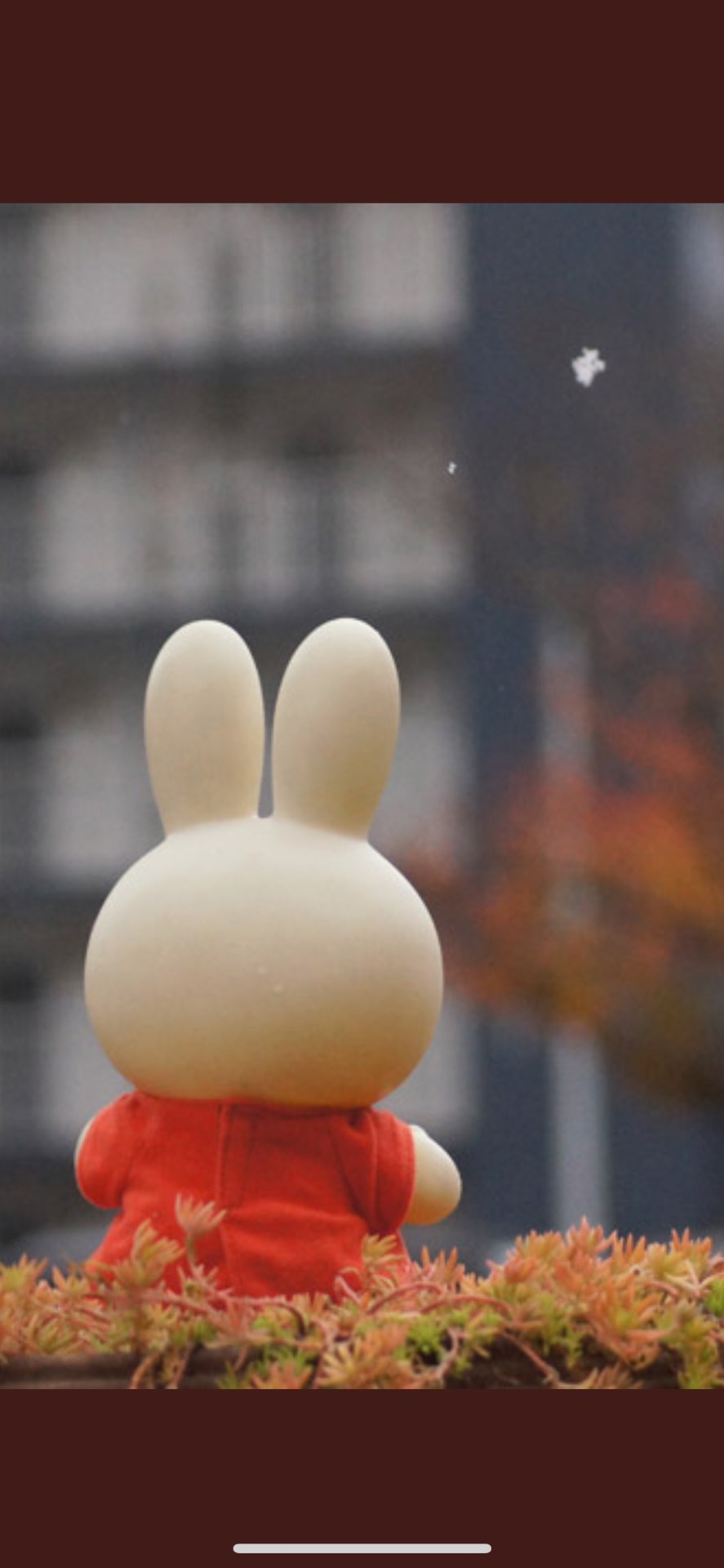 みぃさんのプロフィール画像