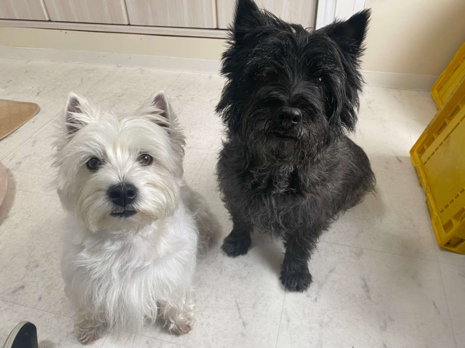 ポン太さんのプロフィール画像