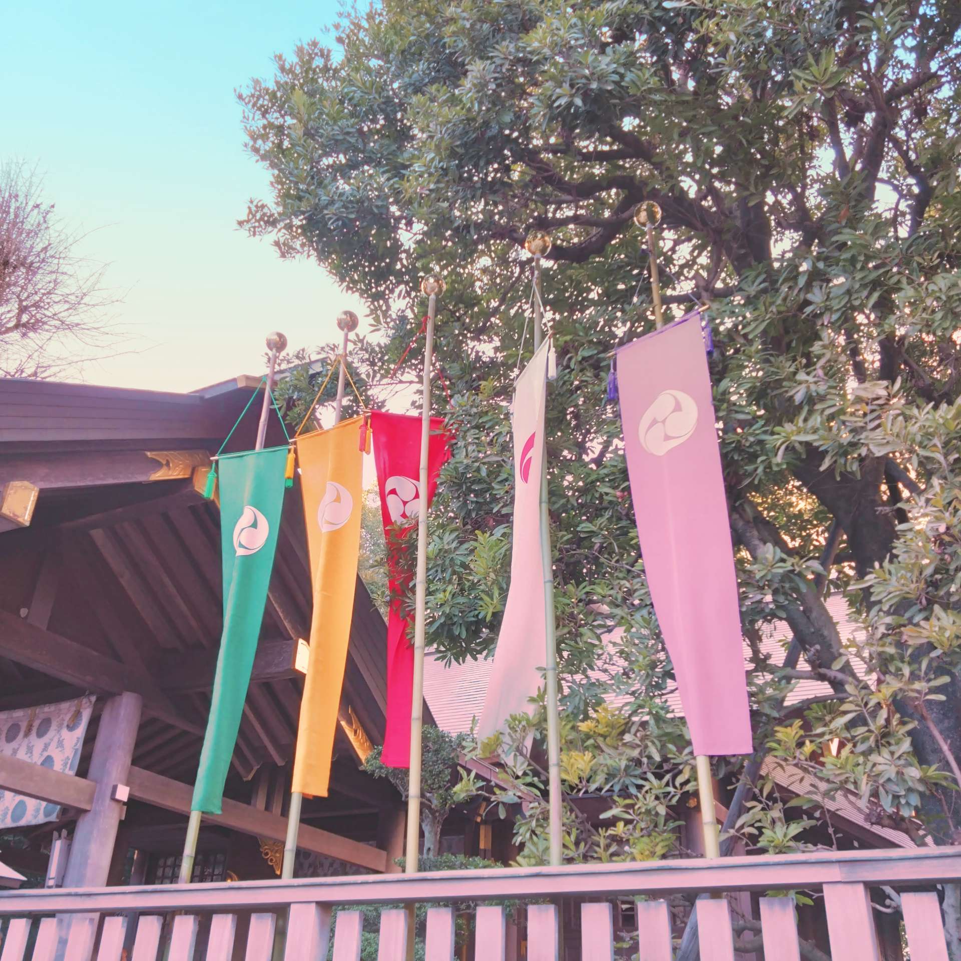 けんけんぱさんのプロフィール画像