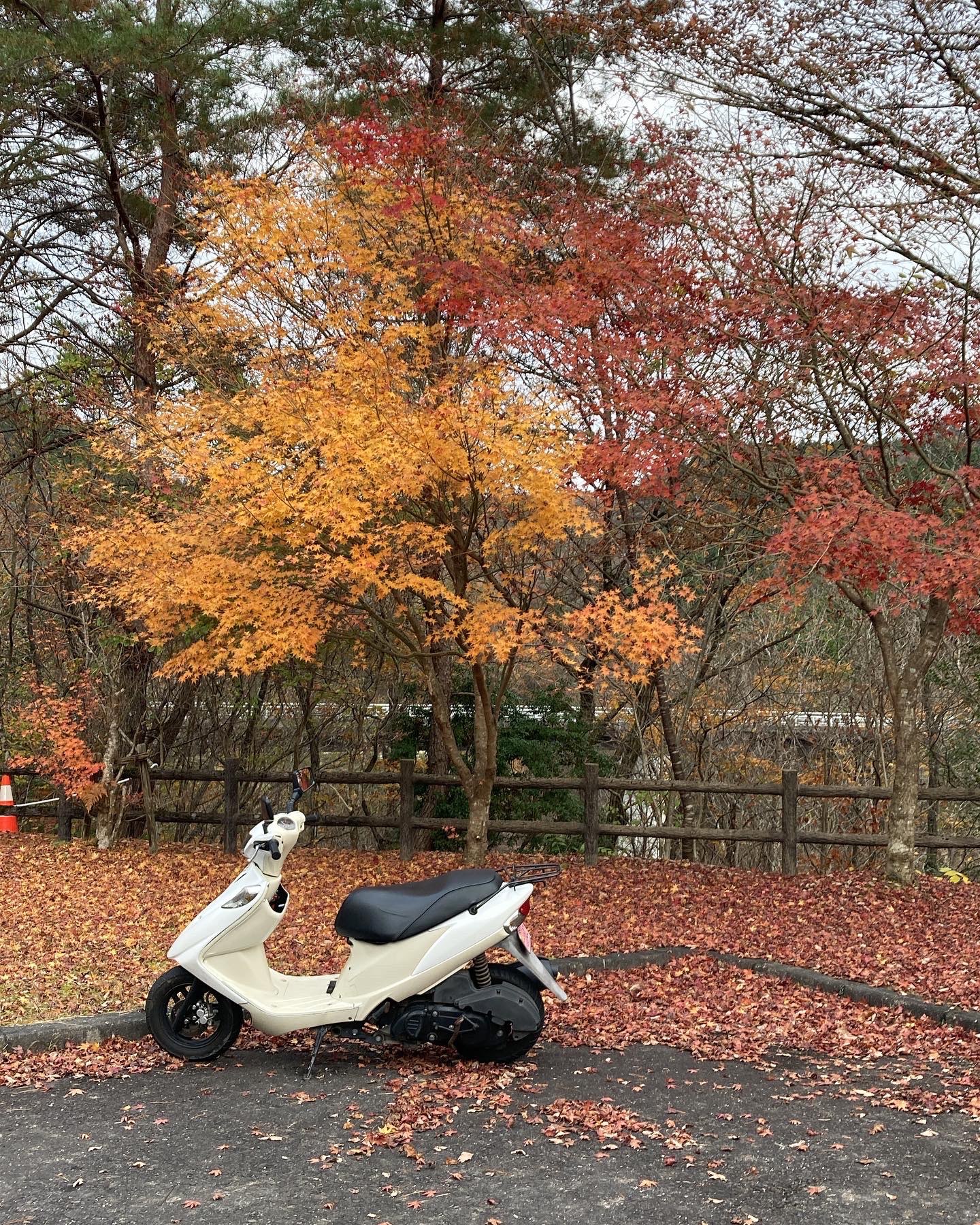 アイさんのプロフィール画像