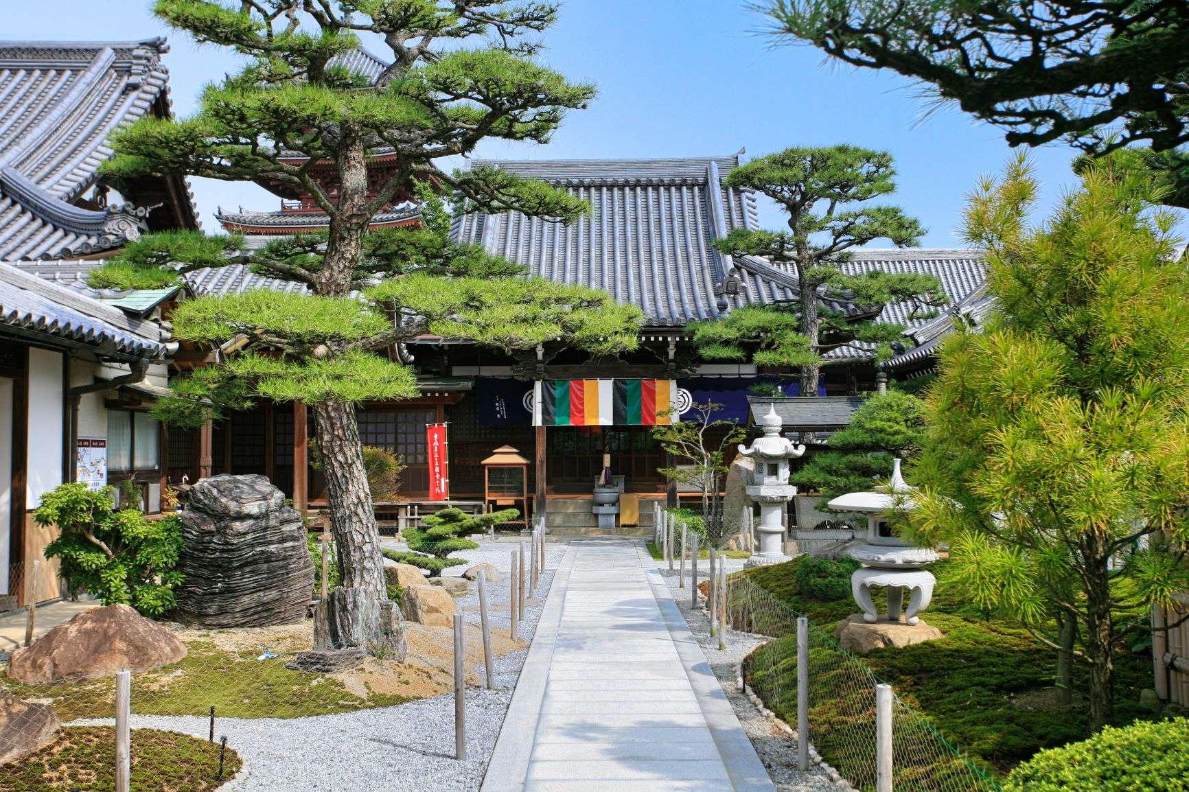 圓通寺さんのプロフィール画像