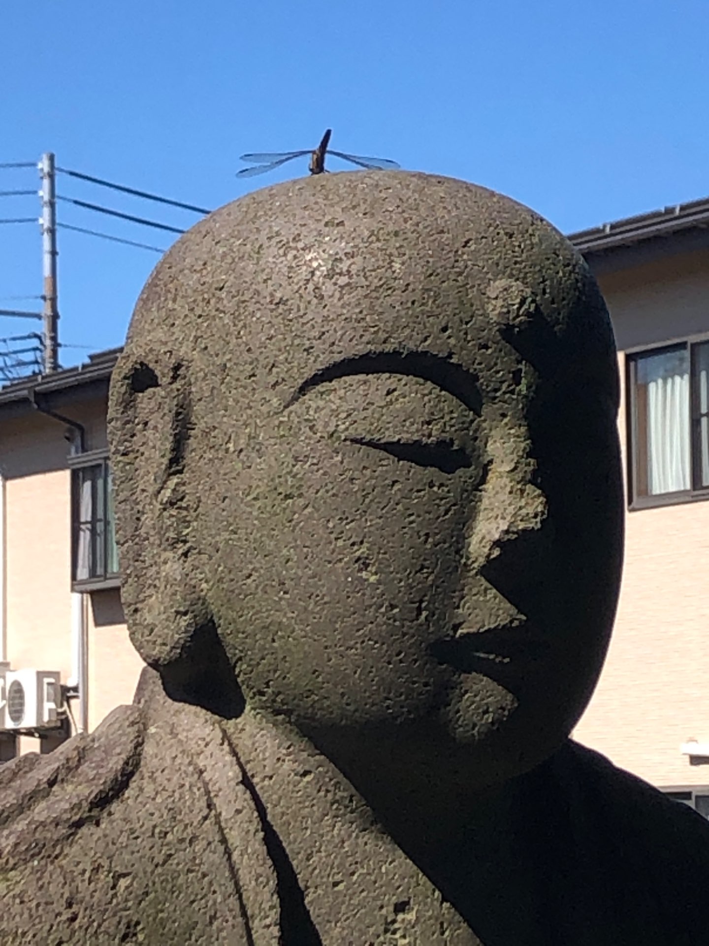 徳聖寺さんのプロフィール画像