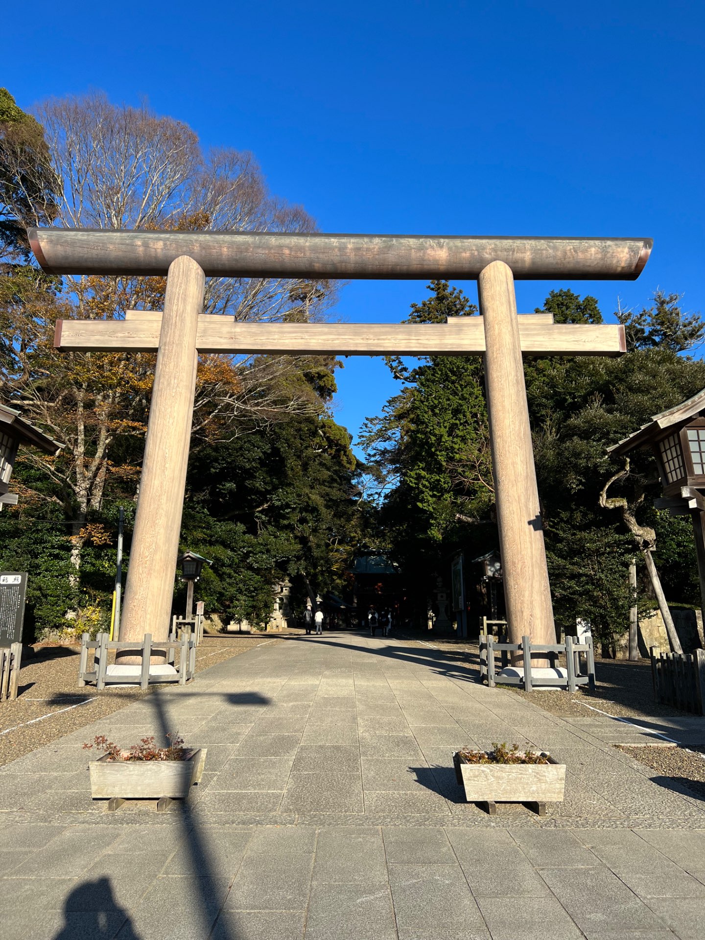 yasumiさんのプロフィール画像