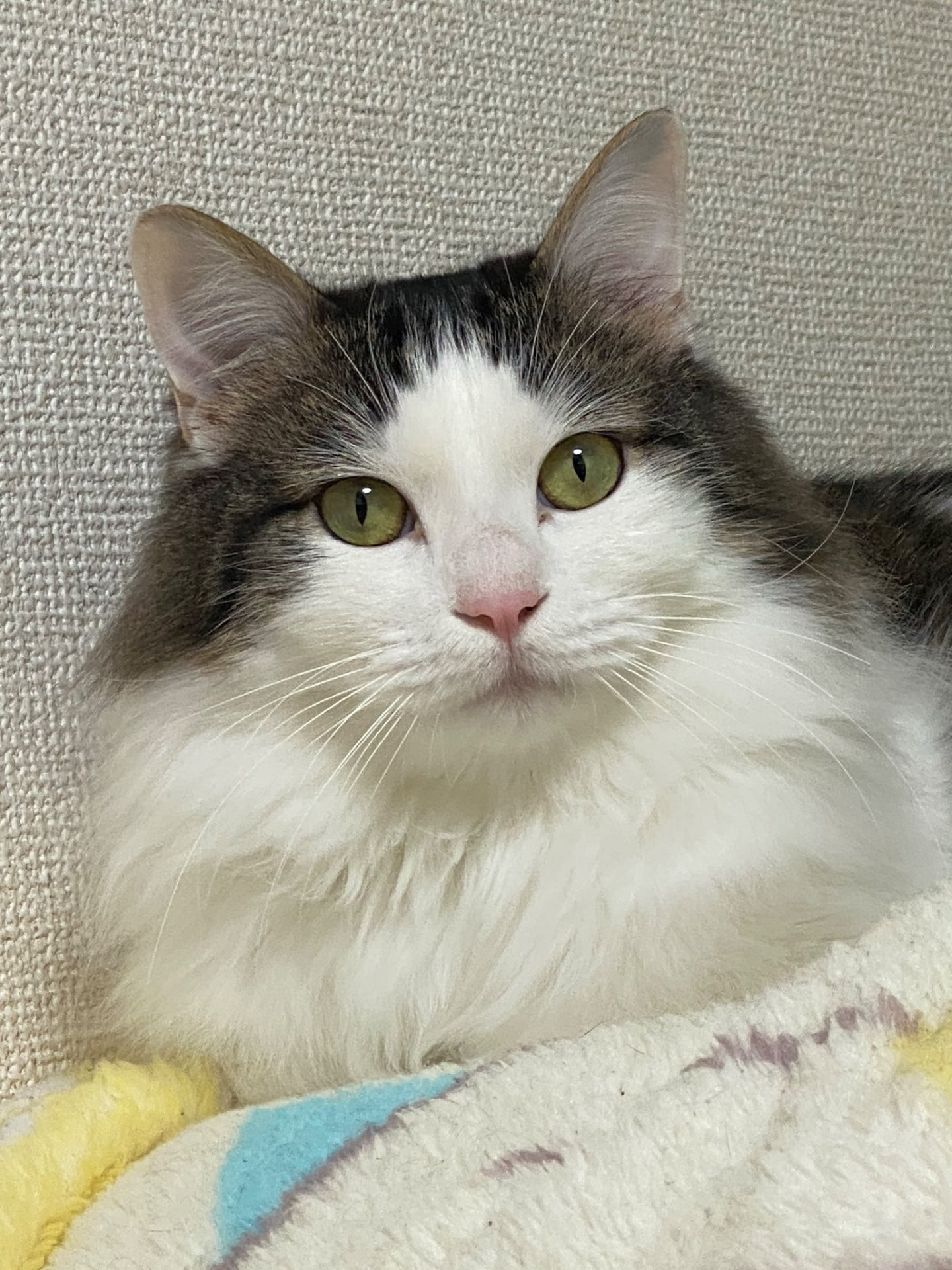 gen3さんのプロフィール画像