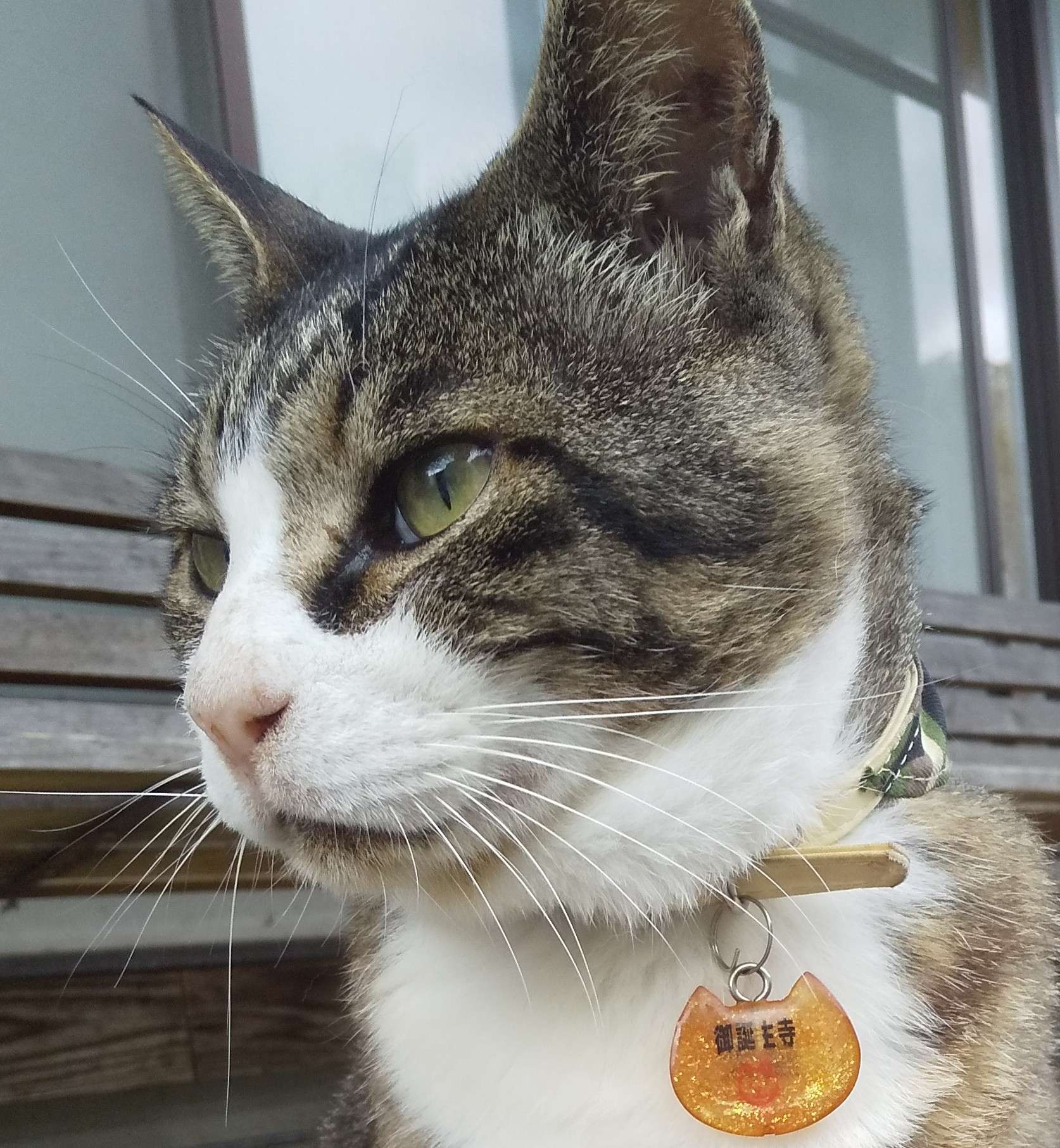 しんさんのプロフィール画像