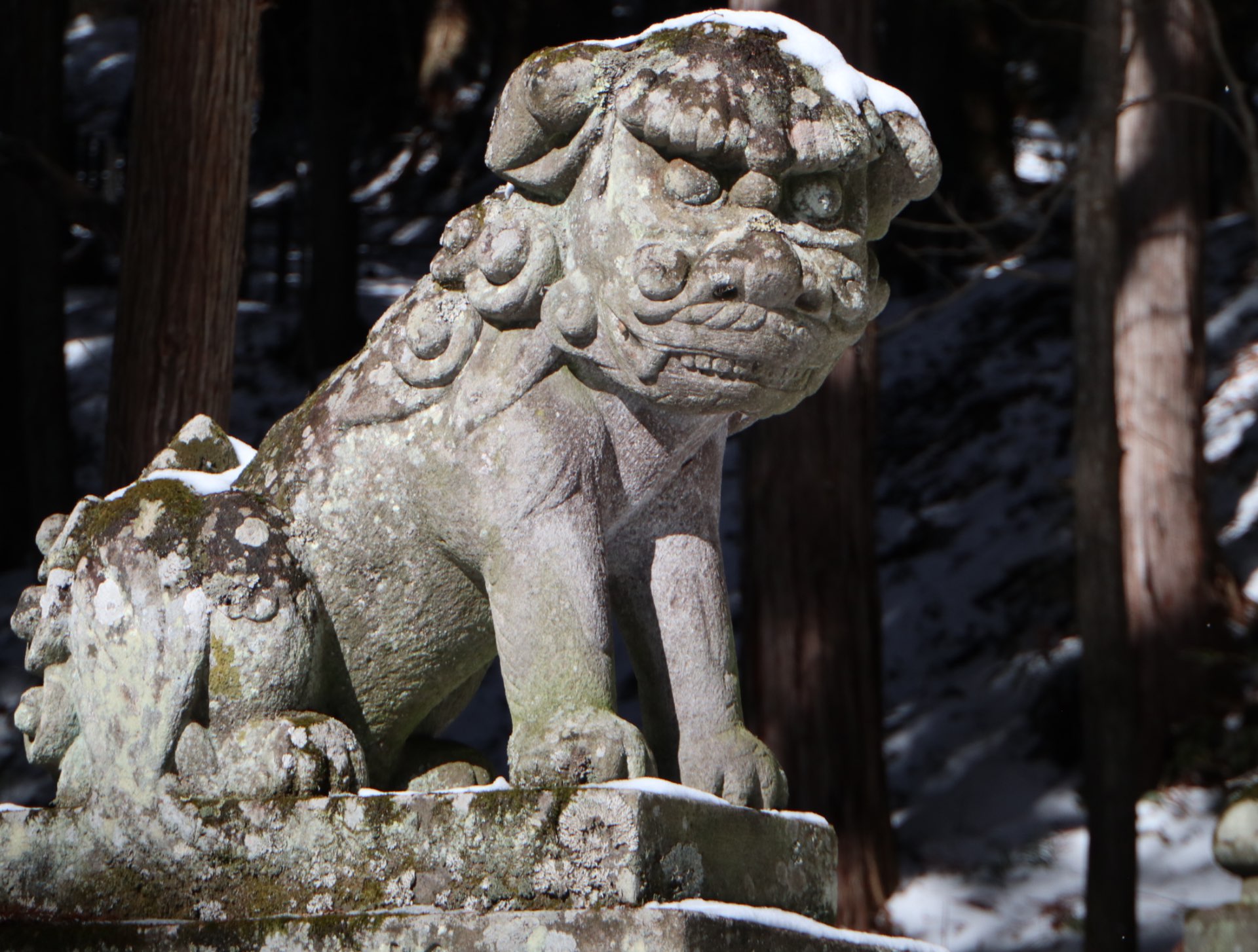 ぼろさんのプロフィール画像