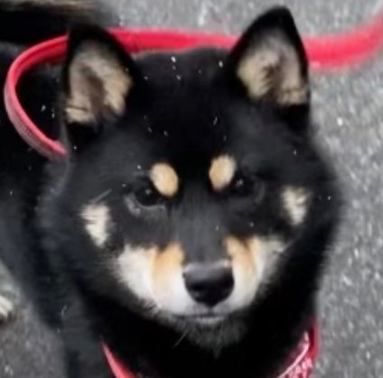 tsukimiさんのプロフィール画像