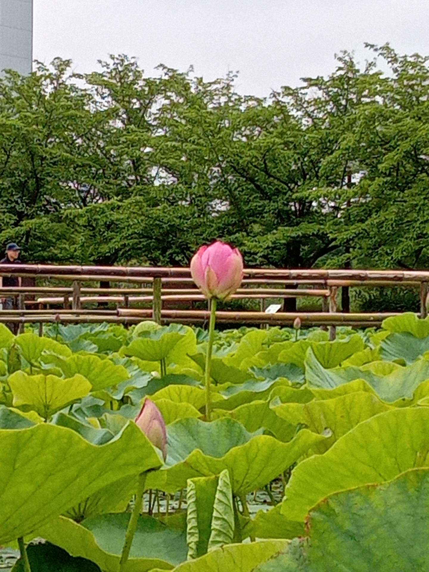 火槍川次郎さんのプロフィール画像