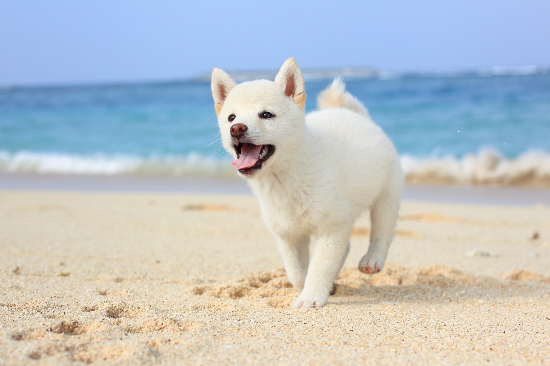 たいちょーさんのプロフィール画像