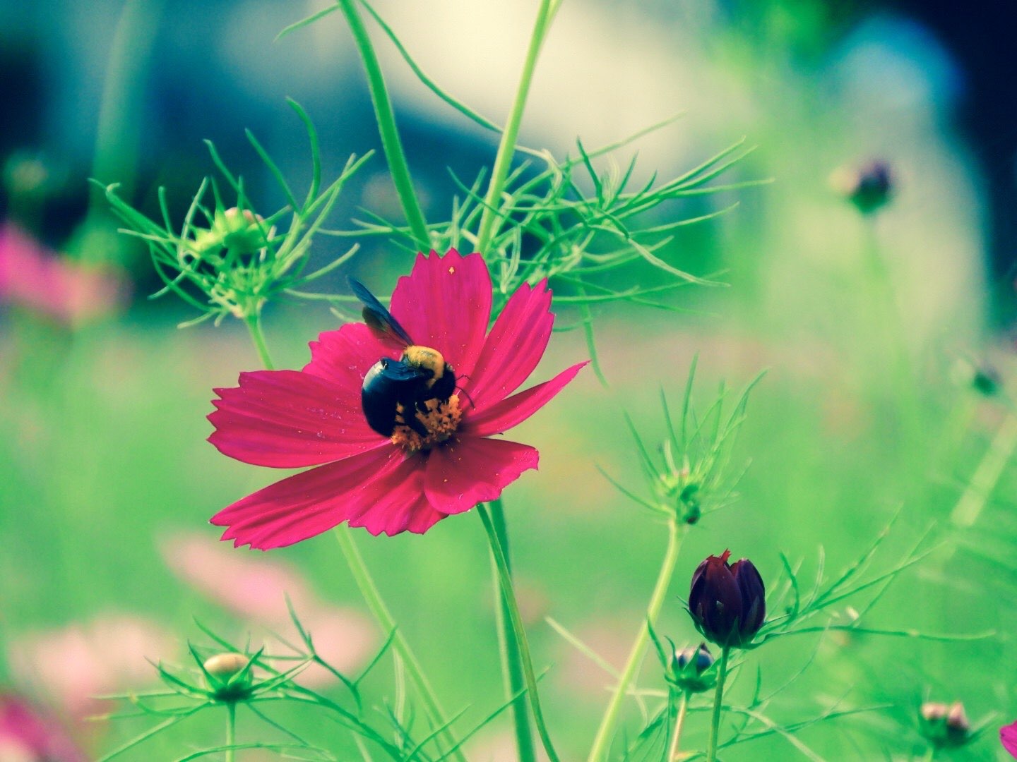 aya_Nさんのプロフィール画像