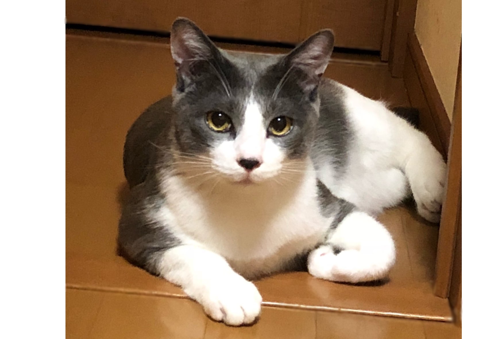 mgさんのプロフィール画像