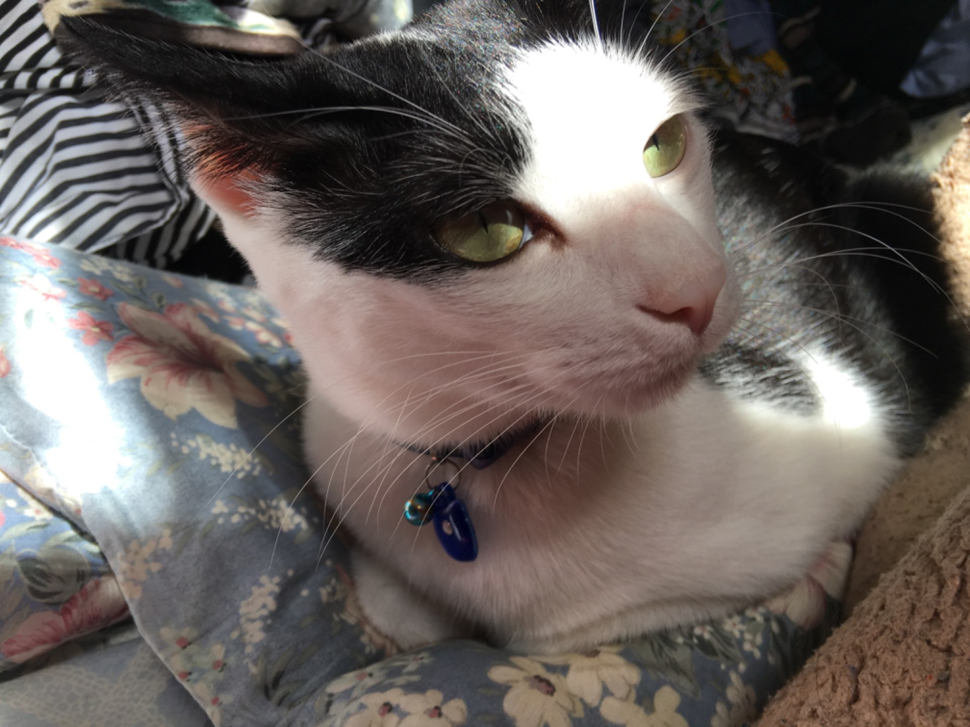 nobrinrin1201さんのプロフィール画像