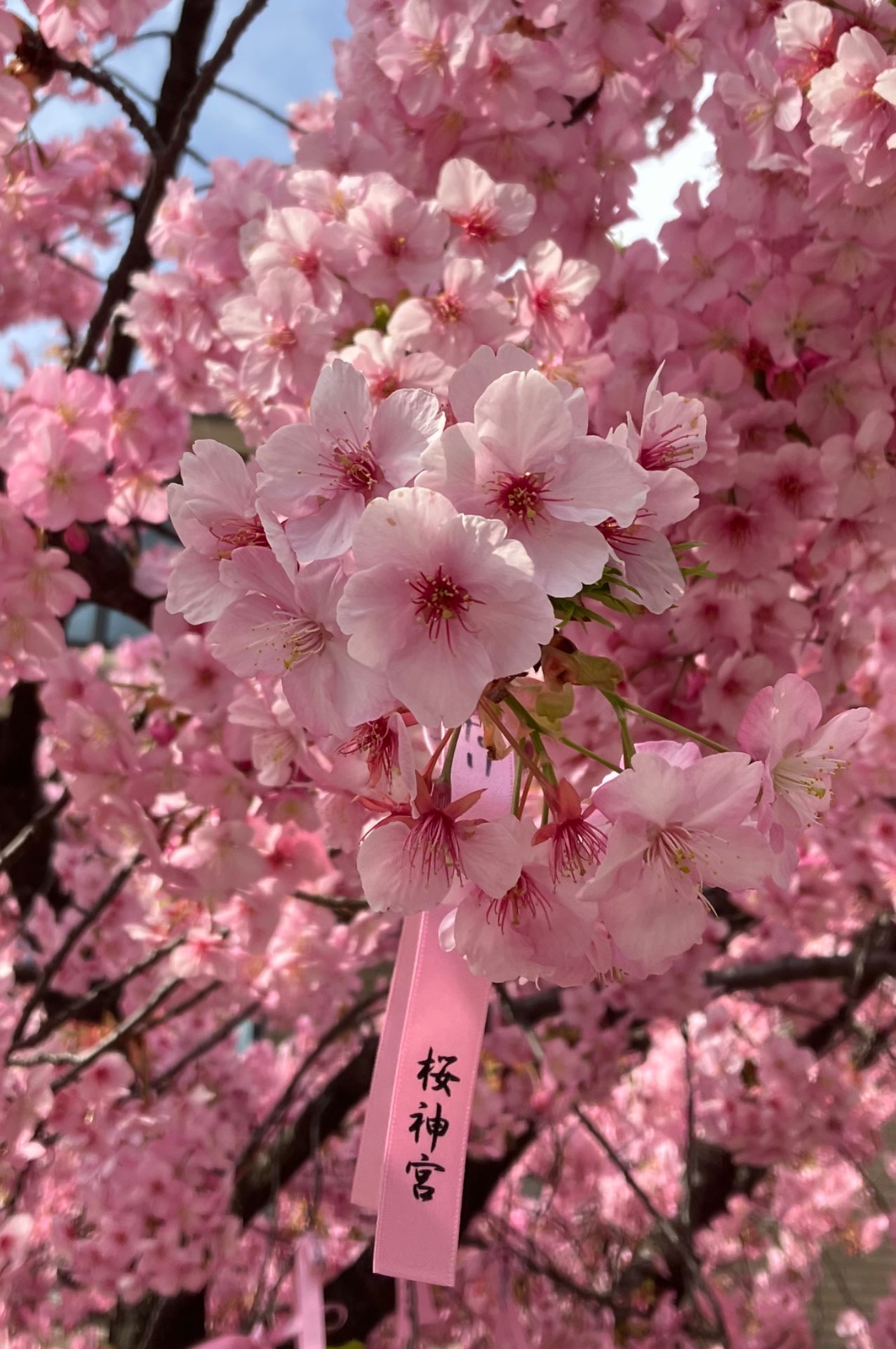 そらさんのプロフィール画像