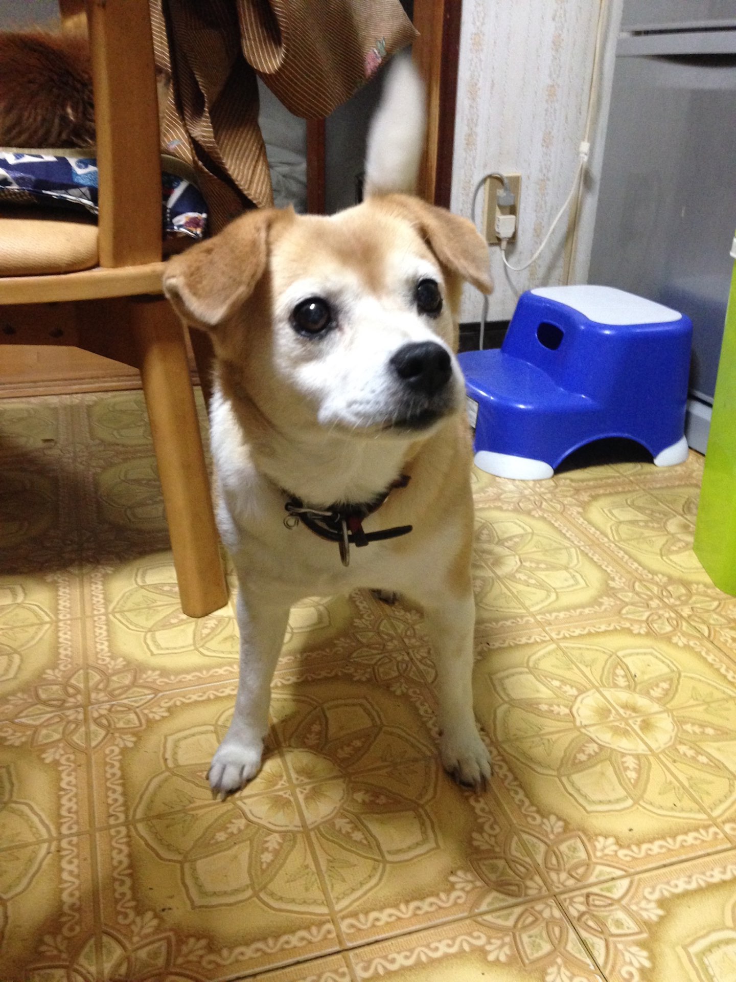 おときっちょむさんのプロフィール画像