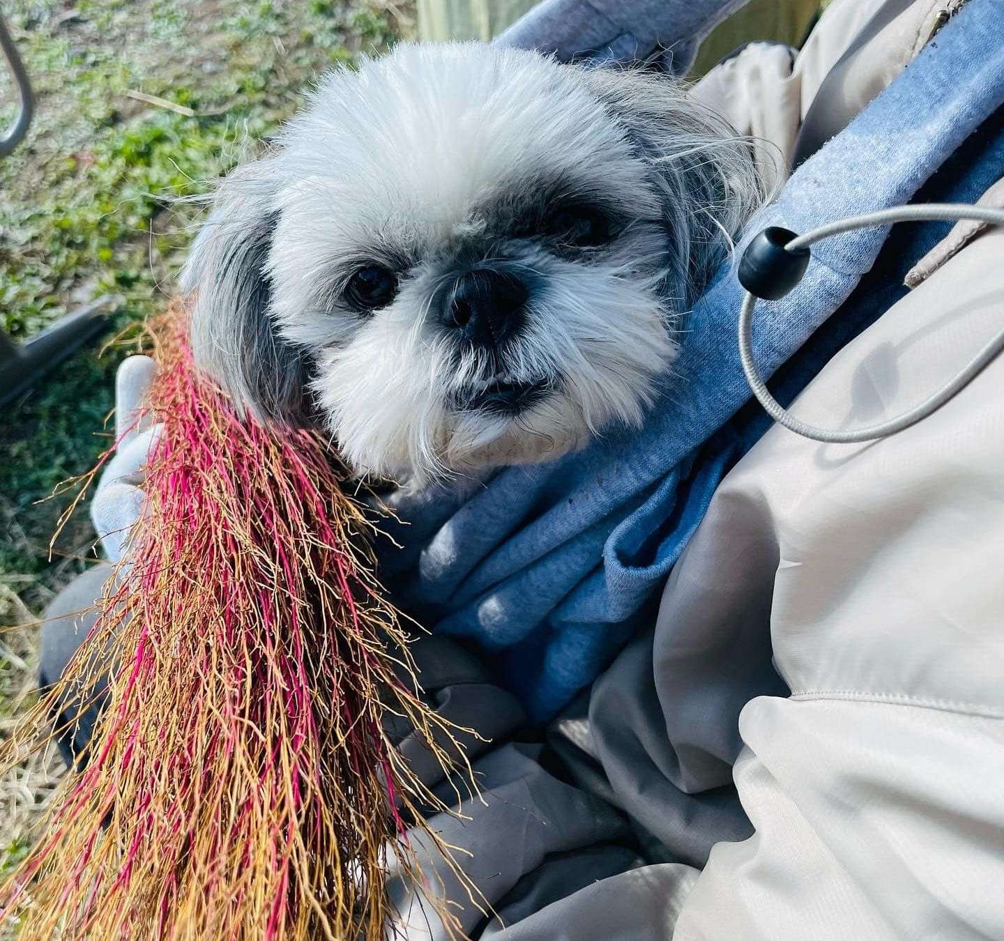 あぶちゃんさんのプロフィール画像