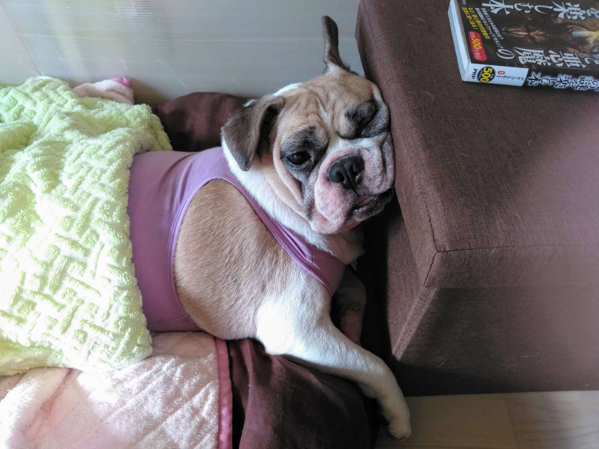 飛熊ｚさんのプロフィール画像