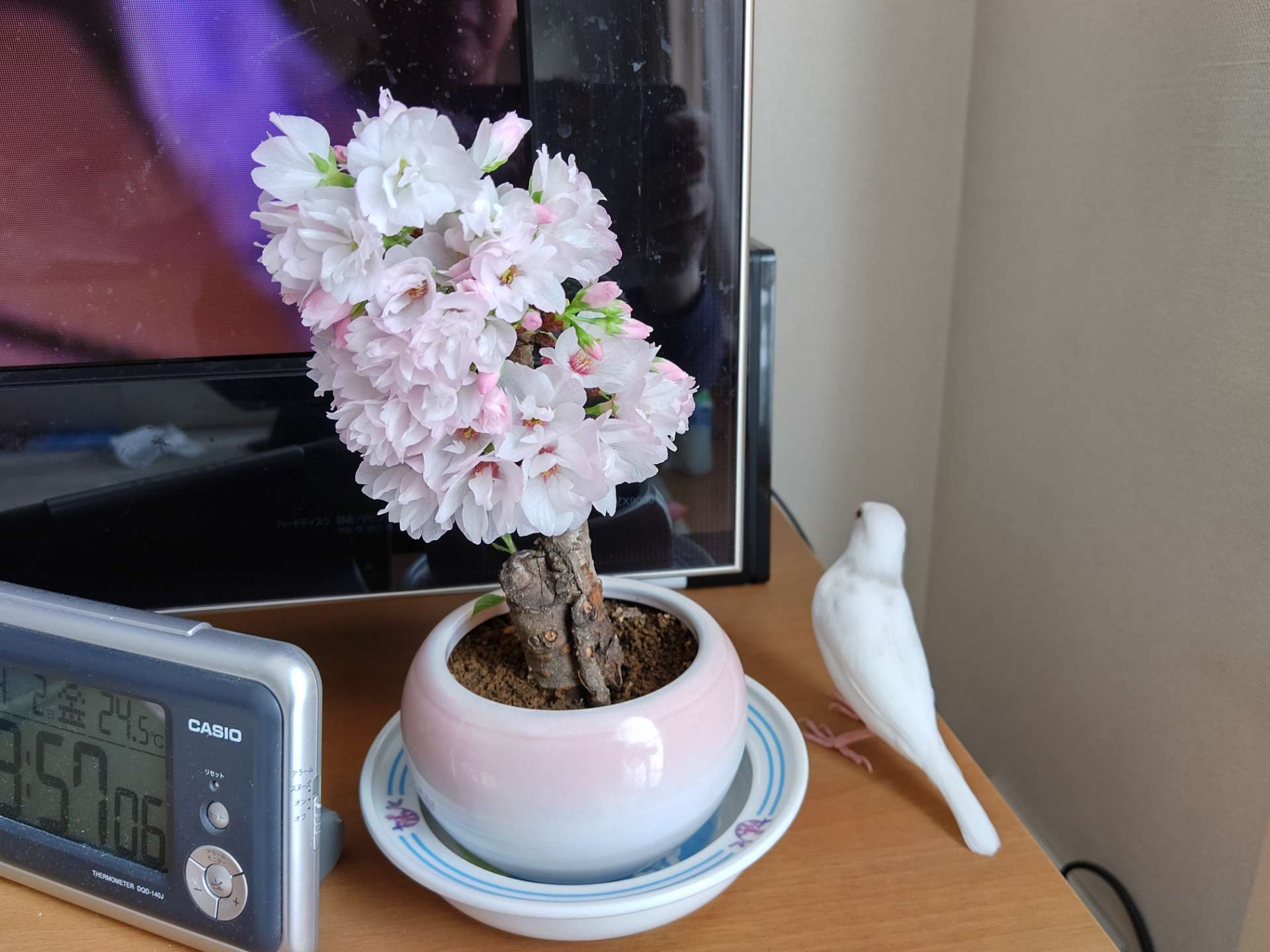 とも☆太郎さんのプロフィール画像