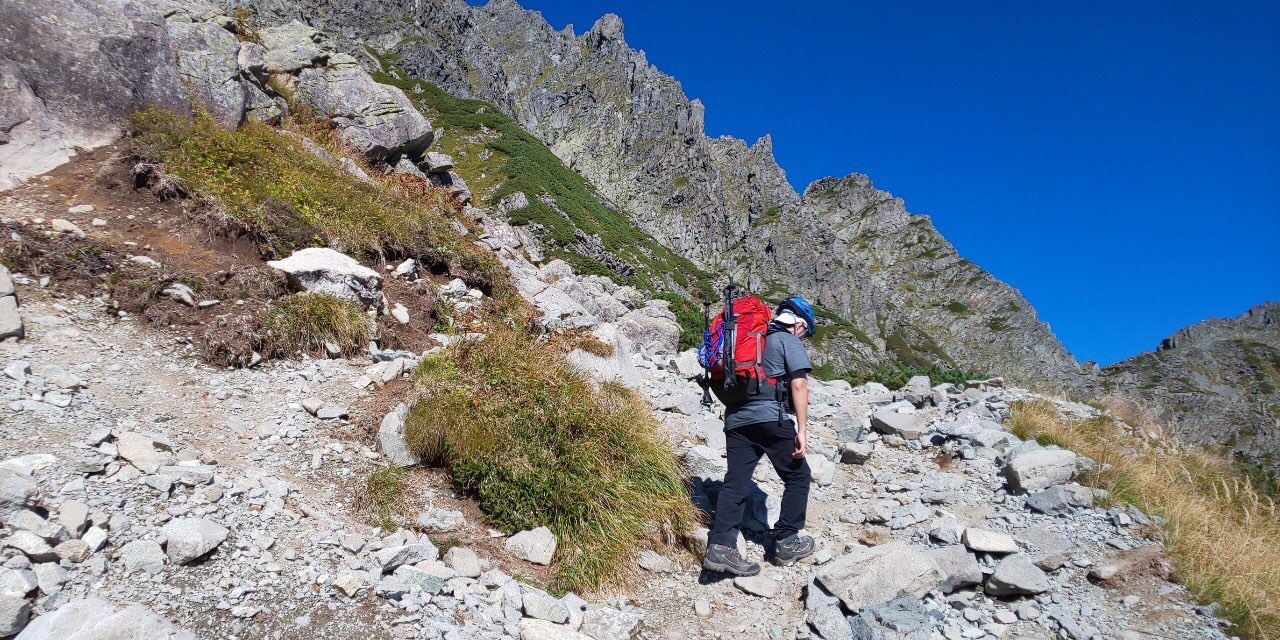 しゅーべるとさんのプロフィール画像