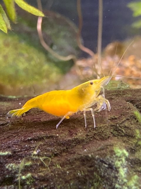 novcさんのプロフィール画像