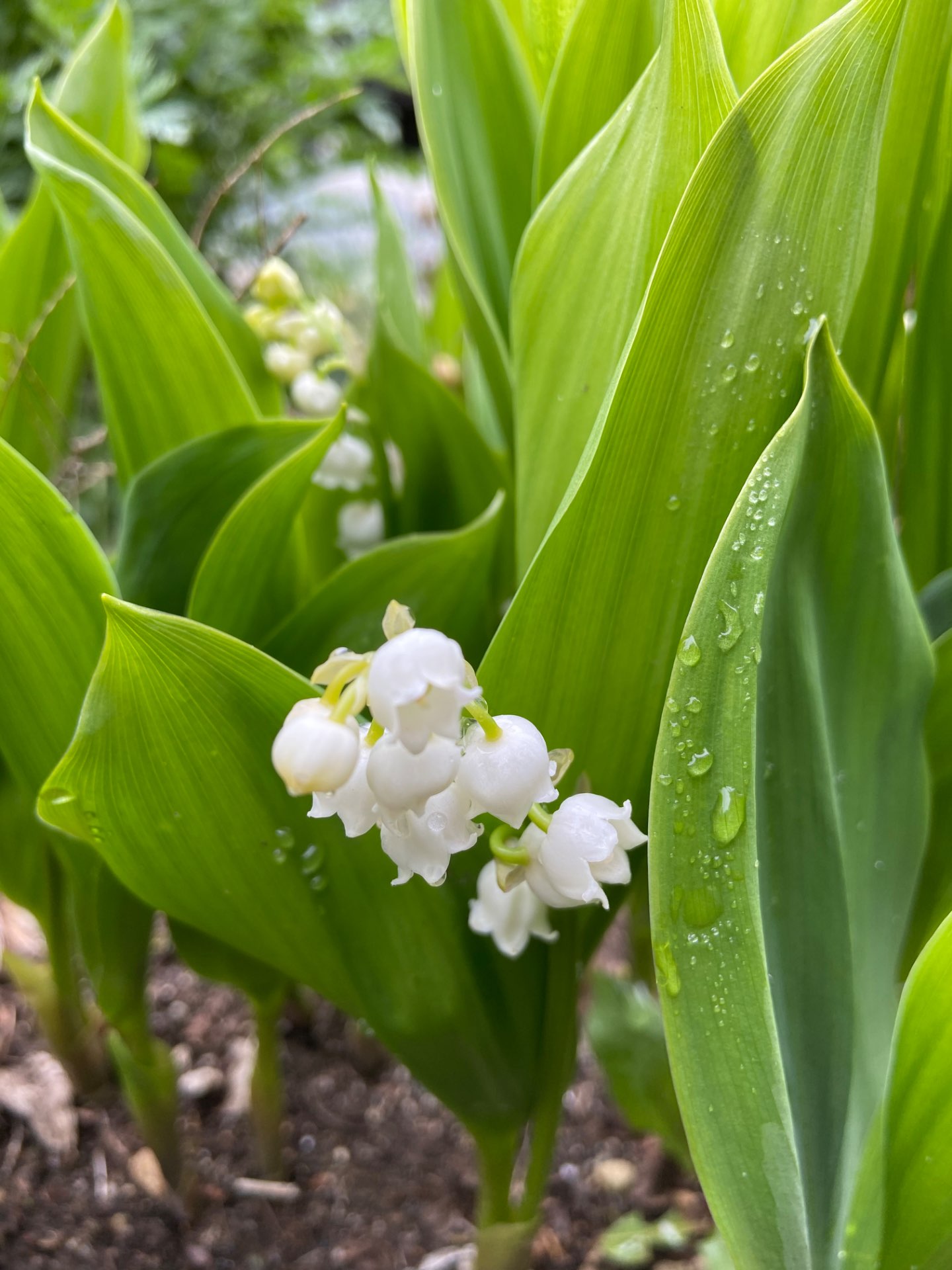 ひろかず　さんのプロフィール画像