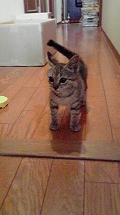 のんちさんのプロフィール画像