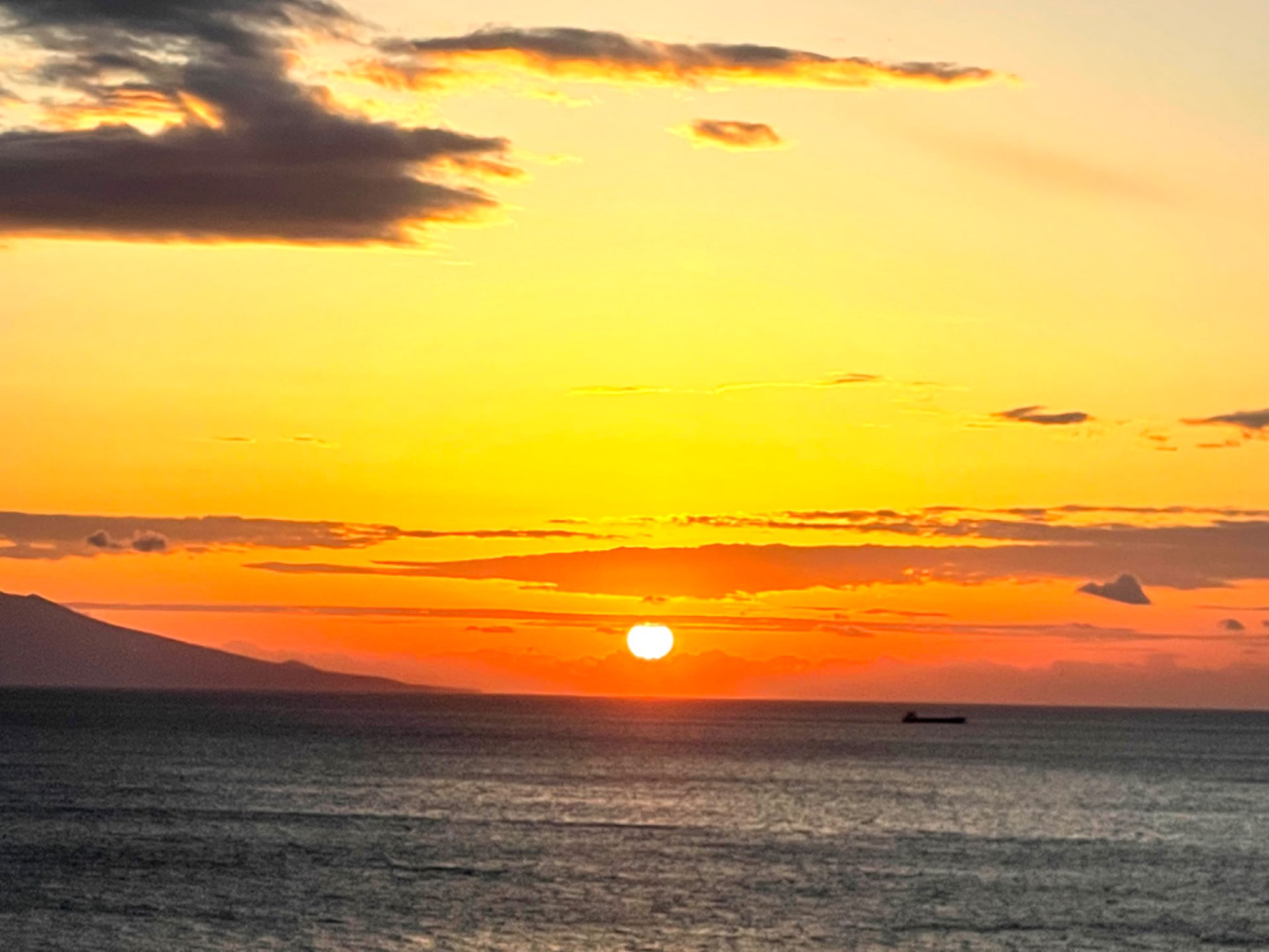 みーさんのプロフィール画像