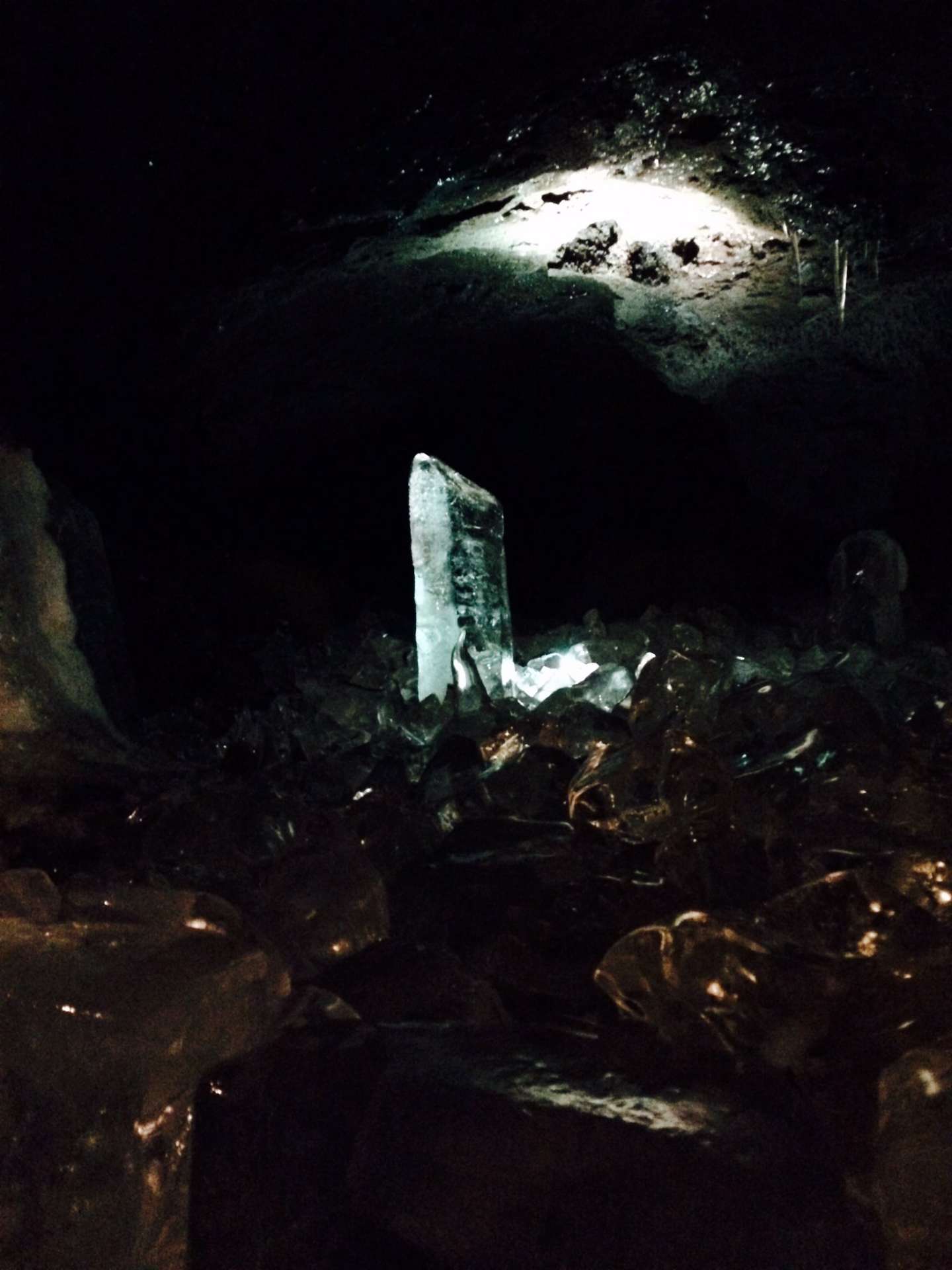 智靖さんのプロフィール画像