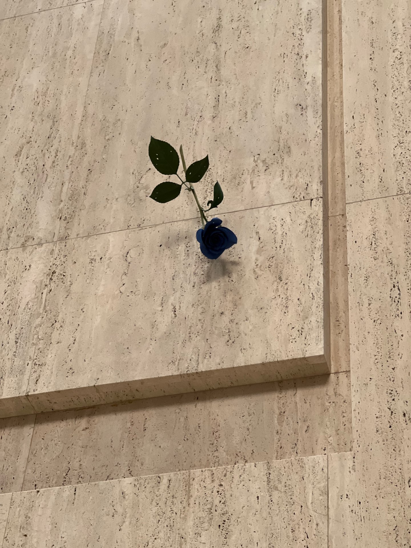 i0e0yさんのプロフィール画像