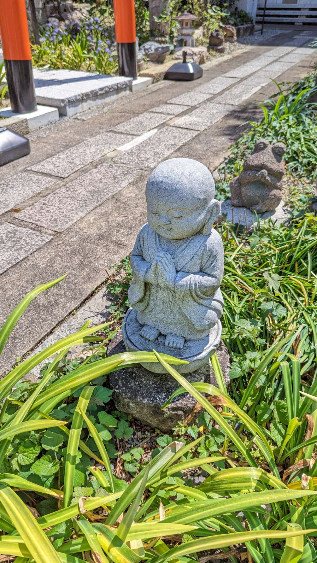 soo_cyanさんのプロフィール画像