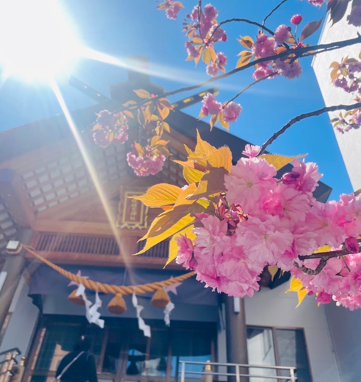 カナエルさんのプロフィール画像