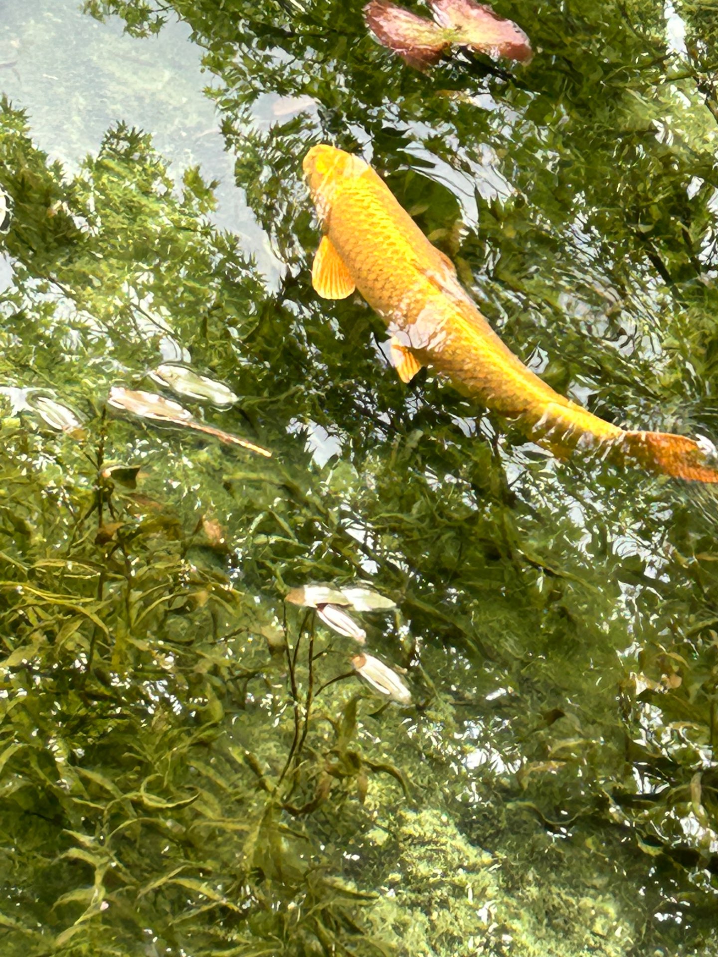 なお丸さんのプロフィール画像