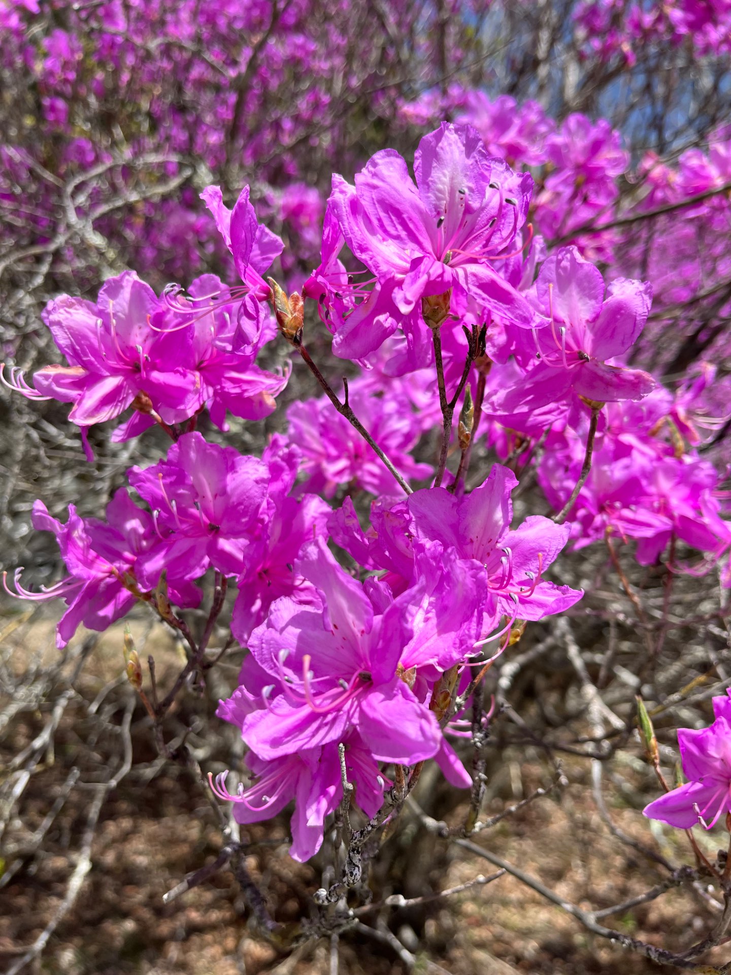 misaoさんのプロフィール画像