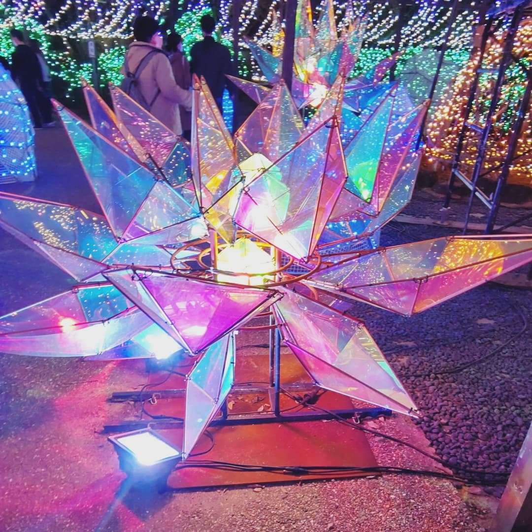 Minoriさんのプロフィール画像