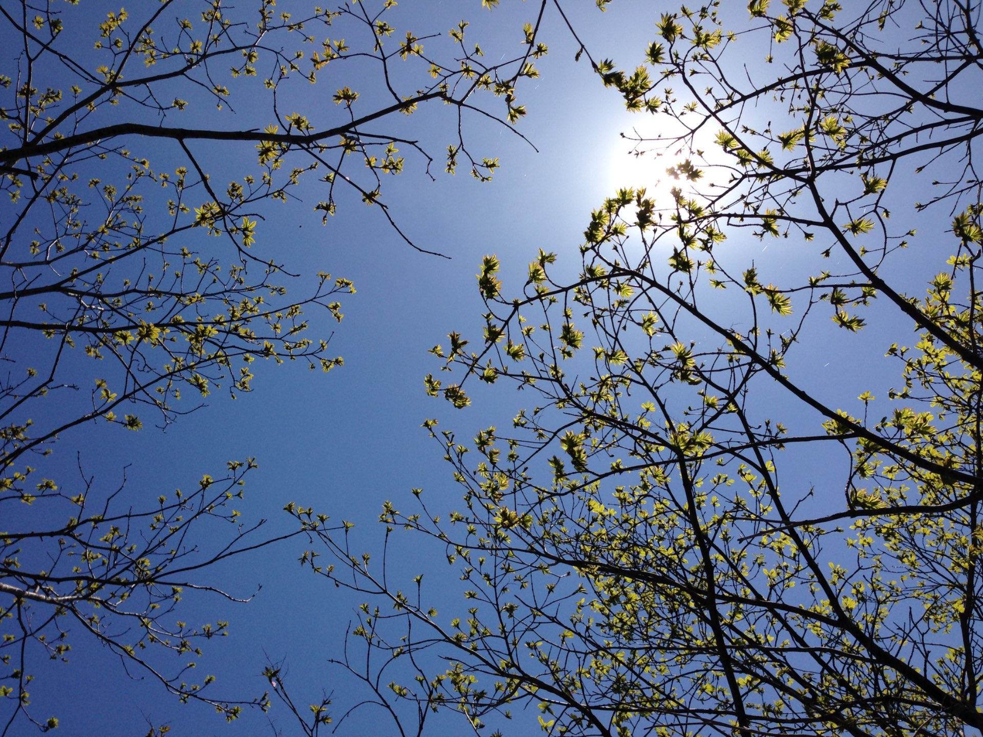 ポンさんのプロフィール画像