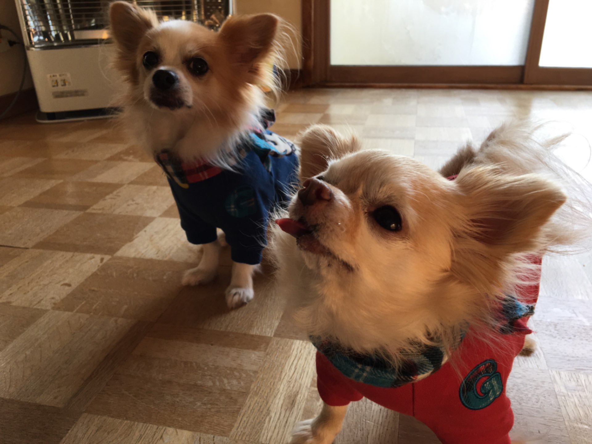 ぐみさんのプロフィール画像