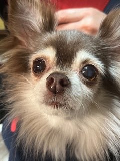 ぽんずさんのプロフィール画像