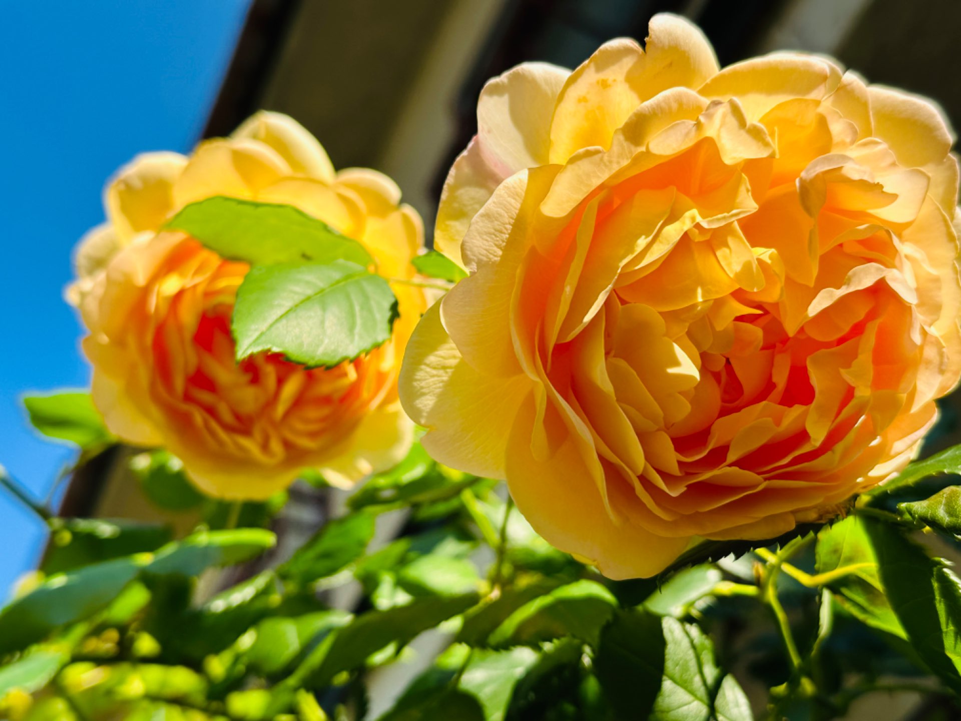 アスレタさんのプロフィール画像