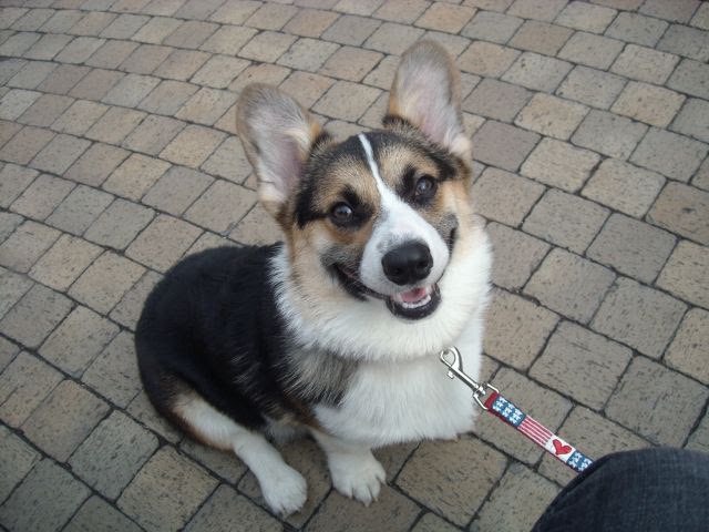 hkanai0105@gmail.comさんのプロフィール画像