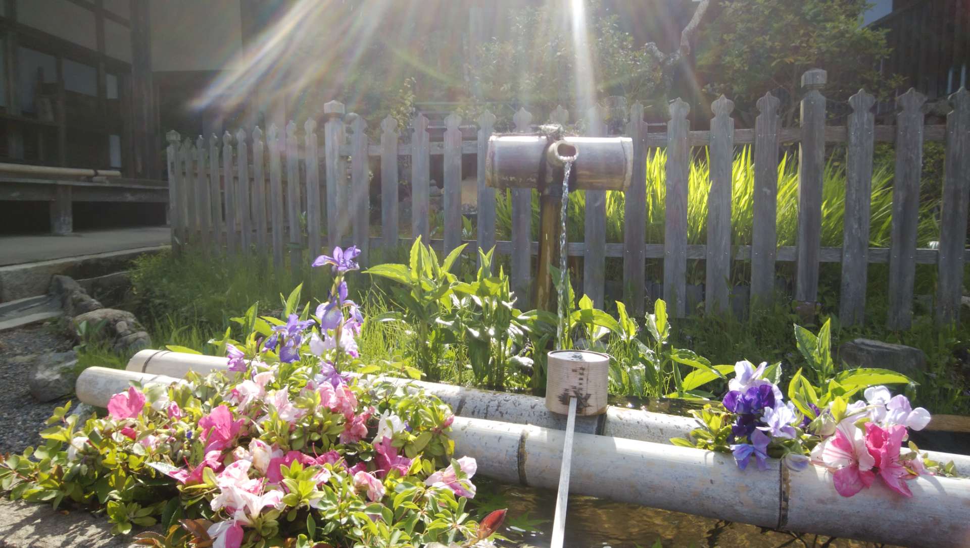 ららさんのプロフィール画像