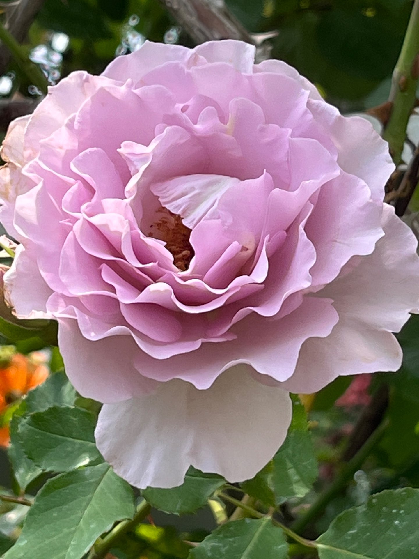 みのむしさんのプロフィール画像