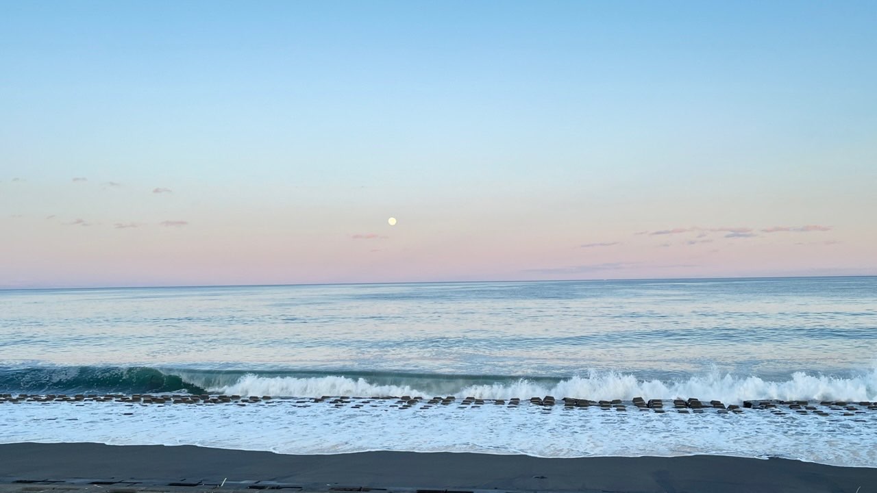 ミルコさんのプロフィール画像