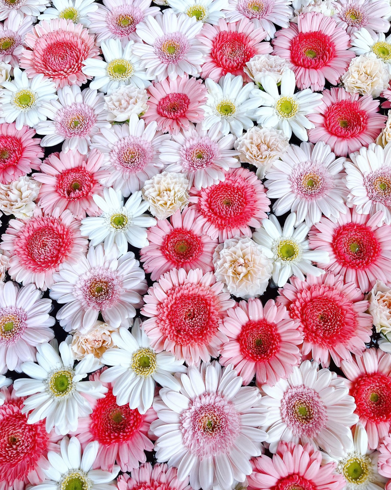 yuuunmiiさんのプロフィール画像