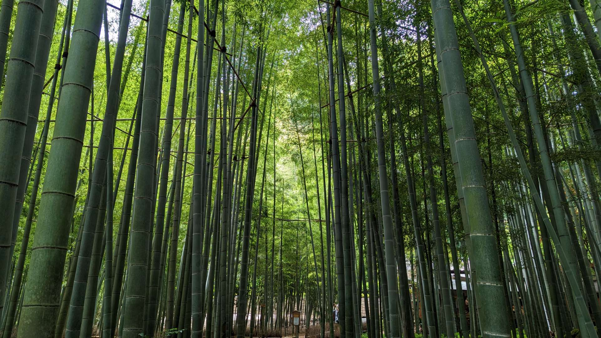 ありおさんのプロフィール画像