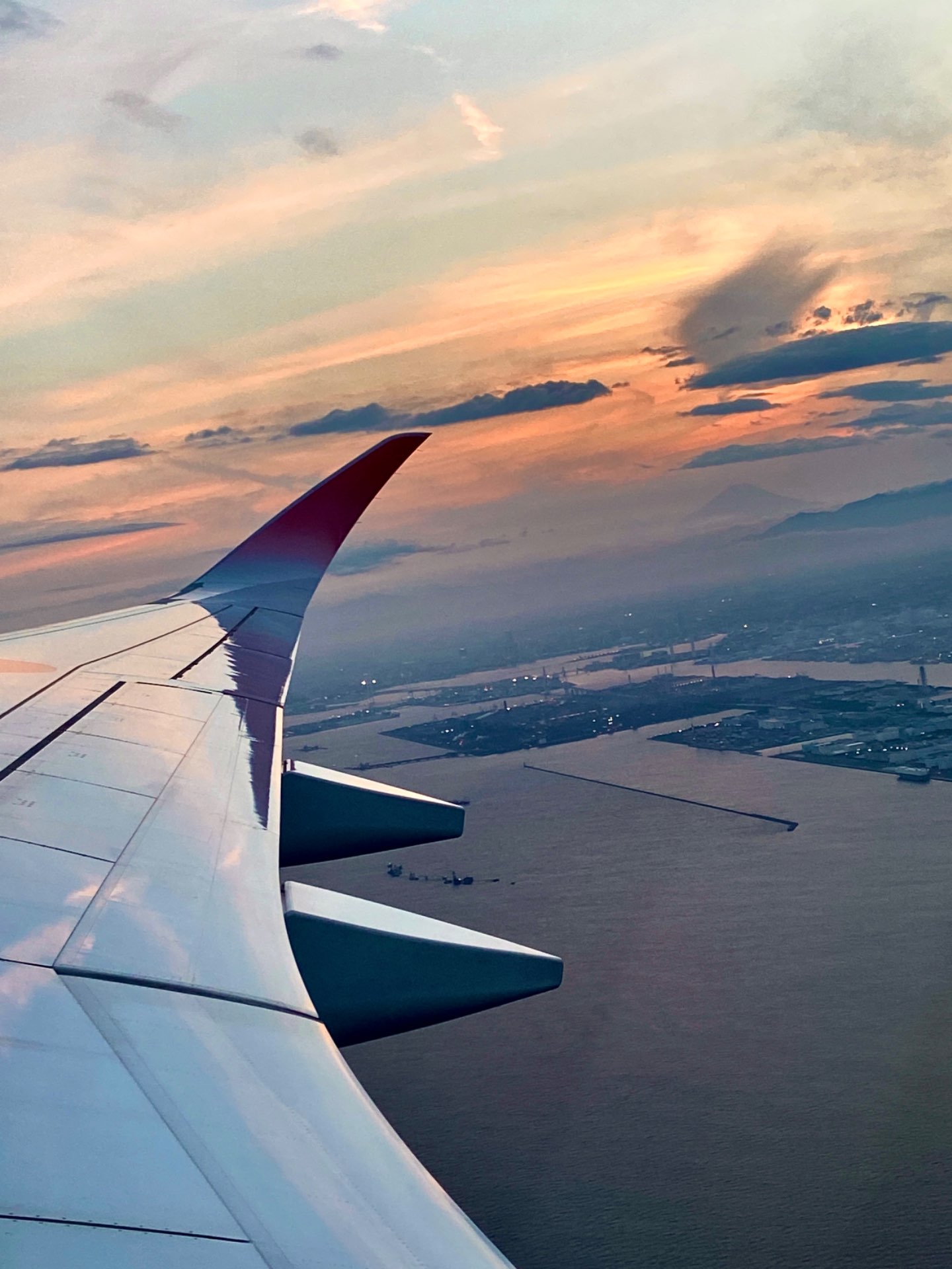 きなこさんのプロフィール画像