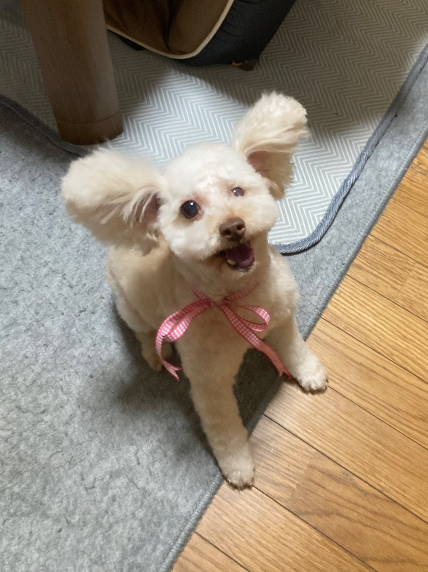 DAHYUNさんのプロフィール画像