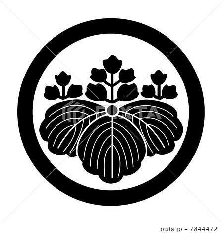 inoomakotoさんのプロフィール画像