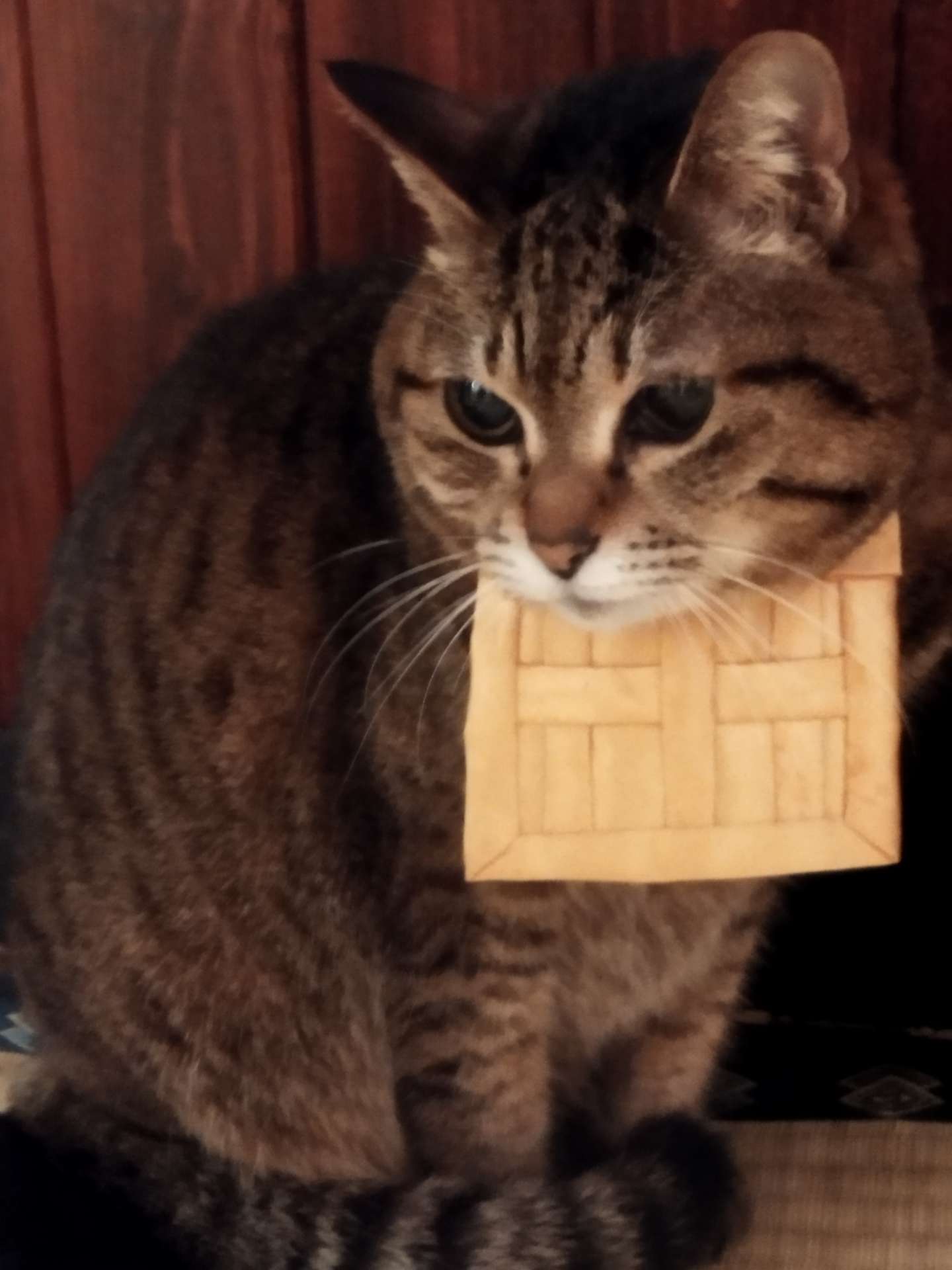 takeo48xxさんのプロフィール画像